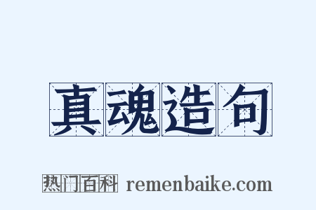 真魂造句是什么意思的图片